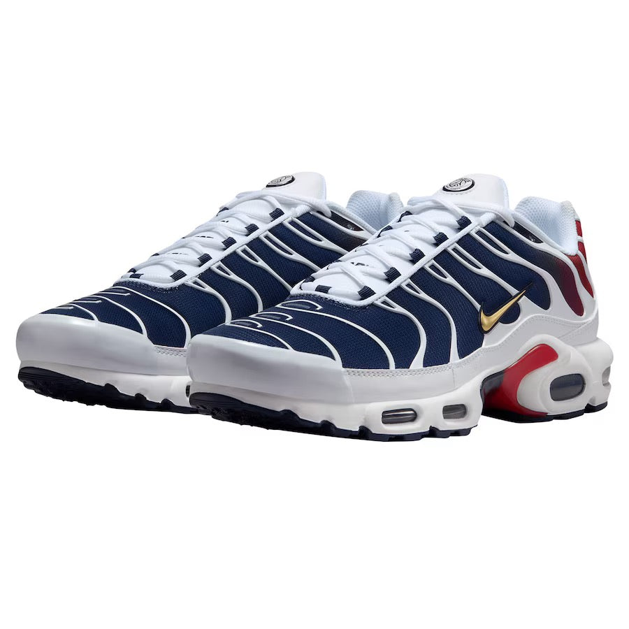 NIKE AIR MAX PLUS PARIS SAINT GERMAN